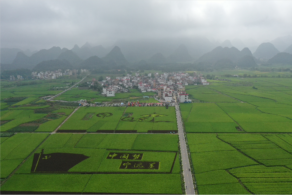 微信截圖_20220507095155.png