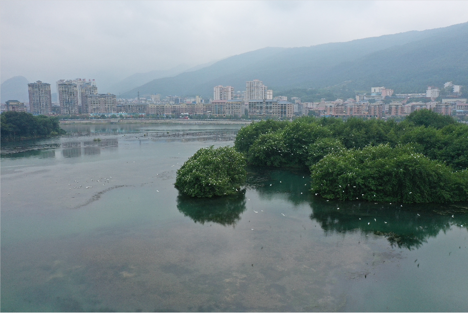 微信截圖_20220507095509.png